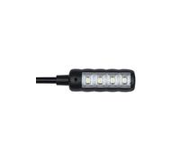 DAP GooseLight connecteur XLR 4 broches droit avec LED blanc