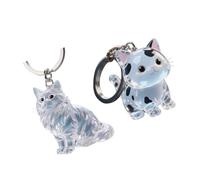 GOOTHDY Porte-clés commémoratif Personnalisable pour Animaux de Compagnie avec préservation des Cheveux, vitrine Portable pour des Souvenirs durables et Un Usage Quotidien