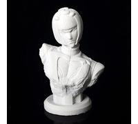 Gooyeh Bruno Bucciarati Figurine JoJo Anime Buste DIY Figurine peinte maison Statue Ornements en résine Modèle Maison Décorations 9,5 x 7,5 x 13 cm