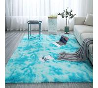 GOPG Fluffy Tapis, Poilue Antidérapant Respirant Tapis en Microfibre Approprié Au Couloir du Salon de La Chambre-Bleu ciel-160x200Cm(63x79Pouces)