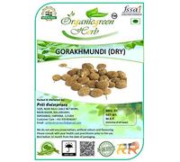 GORAKHMUNDI | SPHAERANTHUS Dry 100 g/m²)