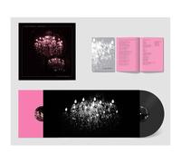 Gord Downie / Bob Rock – Lustre Parfait – Vinyle 180 g Gatefold avec livret