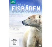 GORDEN BUCHANAN - UNTER EISBÄREN-ÜBERLEBEN IN DER ARKTIS DVD NEUF