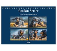 Gordon Setter. Edle Seelen in der Natur (Tischkalender 2026 DIN A5 quer), CALVENDO Monatskalender: Die stolze Eleganz und das feine Wesen der Gordon Setter in tollen Bildern