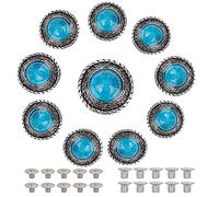 GORGECRAFT 10 Ensembles Boutons Bleu Turquoise Conchos Ronds Unique Oeil en Métal Boucle Décorative Moulages Bouton Arrière à Vis avec Imitation Turquoise Synthétique et Vis en Fer pour Accessoires