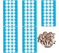 GORGECRAFT 144 pièce 6 Feuilles de Disques Autocollants pour Filtre Synthétique Disques Filtrants Adhésifs Monotub de 20mm Filtres à Large Ouverture de 0.3 μm pour Bocaux Mason Ruban Adhésif