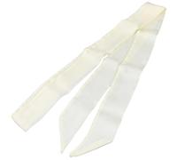 GORGECRAFT 2 écharpe Fine de Couleur Unie Longue et Pure en Satin Beige Ceinture Bandeau Ruban Écharpe pour Cheveux pour Femmes Chemises Jeans Robes Accessoires Poignée de Sac à Main