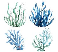 GORGECRAFT 4 Autocollant de Fenêtre sous la Mer de 16cm Amovible Algues Marines Plantes de Corail Décalcomanies de Fenêtre Film Vinyle Alerte Anti Collision pour Prévenir Les Oiseaux Les Chiens