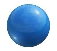 GORILLA SPORTS® Ballon d'Exercices Fitness - avec Pompe, 55cm, 65cm ou 75cm, Antidérapant, Anti-éclatement, Max jusqu'à 500 kg - Balles de Gymnastique, Yoga, pour Pilates, Grossesse, Entraînement, Gym