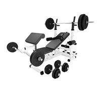 GORILLA SPORTS® Banc de Musculation avec Set Haltères 40/70/100 kg | Support de barres, butterfly, station dips, barre d'haltère 10 kg, disques 30/60/90 kg, pour utilisateurs jusqu'à 190 cm