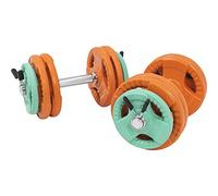 GORILLA SPORTS® Haltères Courts 30 kg - Lot de 2, Disques (4x1,25 kg, 8x2,5 kg), Ø30 mm, en Fonte, Fermeture Étoile/Ressort - Poids de Musculation, Sport, Fitness