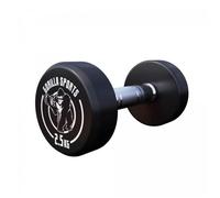 Gorilla Sports® Haltères-Poids de 2,5 kg Individuel, Fonte Caoutchouc, Chromé, Antidérapante-Haltères Courts, Dumbbell, Musculation