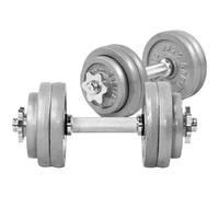 GORILLA SPORTS® Lot de 2 haltères, 30 kg, 12 disques, 2 Barres d'haltères Courtes avec 4 Fermetures en Forme d'étoile, 30 mm, en Fonte, antidérapantes, moletées, argenté/Noir