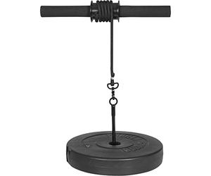 GORILLA SPORTS® Rouleau de poignet Wrist Roller avec câble nylon