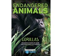 Gorillas: Endangered Animals [DVD]
