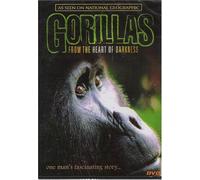 Gorillas - From the Heart of Darkness