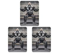 Gorillas in Fitness Gym Lot de 3 désodorisants carrés à suspendre pour voiture, maison, bureau, style noir