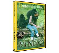 Gorilles Dans Les Montagnes (Gorilas En La Montaña)