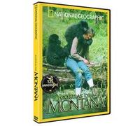 Gorilles dans les montagnes (Gorilas en la Montaña) G