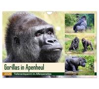 Gorilles des plaines à Apenheul, Version française (Calendrier mural 2026 DIN A4 portrait), Calendrier CALVENDO mensuel