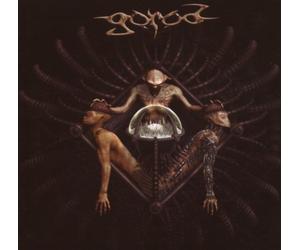 Gorod - Leading Vision