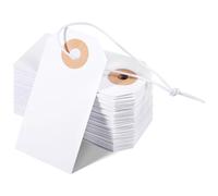 Gosera Paquet de 100 Étiquettes Vierges avec Marquage à Élastique Étiquettes Volantes Attachées Trou Renforcé Étiquettes Vierges Inscriptibles Facile à Installer Facile à Utiliser 2,75 X 1,37