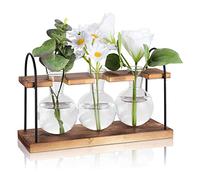 Gosera Station de Propagation de Plantes avec Support en Bois, Stations de Propagation de Bureau de Terrarium de Plantes, Vase en Verre D'Ampoule de Planteur d'air