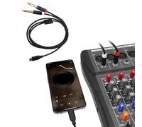 Goshyda Câble Mono TS de Type C vers Double 6,35 Mm, Puce DAC Intégrée 24 Bits 96 KHz, Répartiteur en Y avec Connecteurs Plaqués or et Tresse en Nylon, pour Smartphone, Ordinateur Portable (1m)