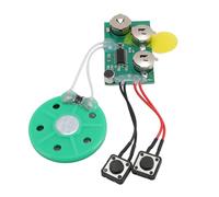 Goshyda Puce de Carte de Vœux 120S DIY, Module D'enregistrement Vocal et Sonore pour Cartes de Noël, Artisanat, Jouets pour Enfants