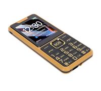 Goshyda Téléphone 4G Seniors, Téléphone Bluetooth Big Keys avec Touche SOS, Téléphone 4G, Double Sim, Radio FM, Appareil Photo, Lampe de Poche Latérale, 2500mAh, etc. (Gold)