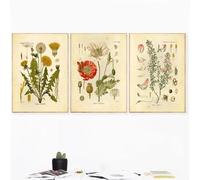 GOSRD Peinture sur toile vintage, affiches et impressions de plantes botaniques et de fleurs, art mural, images murales pour décoration de salon, 60 x 90 cm, 3 pièces, sans cadre
