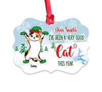 Gossby Décorations de chat personnalisées pour sapin de Noël - Cadeaux de Noël personnalisés avec motif - Cadeaux de Noël uniques pour amoureux des chats pour chat, maman, papa - Cher Père Noël - 1