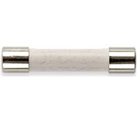 Gossen Metrawatt Z109P FF 0,315 A/1000 V 10 pc(s)