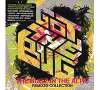 Got the Bug: Bugz in the Attic Remixes by BUGZ IN THE ATTIC (2013-08-02)