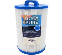 Gota Pure Filtre Piscine Compatible Weltico C2 / 62612 / WELC2
