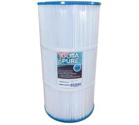 Gota Pure Filtre Piscine HW100S pour Hayward Swimclear C100SE / CX100XRE