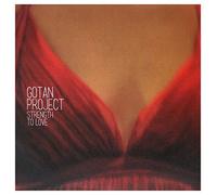 GOTAN PROJECT - STRENGTH TO LOVE 10 INCH (10" VINYL) FRENCH YA BASTA 2012