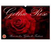 Gothic Rose - Roses du jardin des ténèbres, Version française (Calendrier mural 2026 DIN A3 portrait), Calendrier CALVENDO mensuel