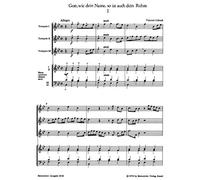 Gott, wie dein Name, so ist auch dein Ruhm - Choralkantate f r M nnerchor, Bl ser und Bc (Tasteninstrument oder 4 Bl ser), Pauken ad lib