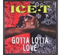 Gotta Lotta Love