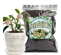 GOTVUGE Mélange de terreau pour Hoya, mélange personnalisé mélangé à la main pour plante de fougère en pot intérieur/extérieur (1 l)