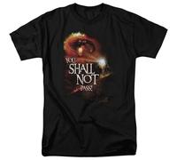 GOUDIDAO Men's Mole The Coolest Ond Most Interesting The of The Rings Lord You Sholl Not Poss Odult T-Shirts Black 3XL