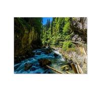 Gouffre Sauvage de Breitachklamm, Bavière, Allemagne，1000 Pièces Puzzle pour Adultes Enfants Adolescents, Intelligence Soulagement du Stress Divertissement Papier Jouets Bricolage Anniversaire-O99