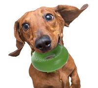 Goughnuts Jouet Indestructible pour Chien et Chiot - Accessoire Résistant en Anneau pour Les Races à Forte Mâchoire - Petit