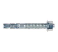 fischer - Goujon FBN II 10/100 (10x176) en acier électrozingué/Boîte de 20 argent