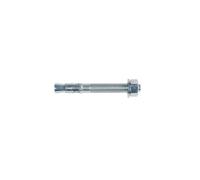 fischer - Goujon FBN II 6/10/55mm en acier électrozingué/Boîte de 100
