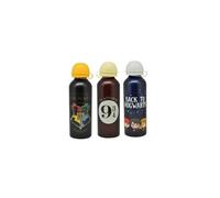 Gourde aluminium Harry Potter enfant 500 ml