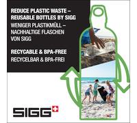 Gourde Aluminium - Traveller Leaf Green - Certifiée Neutre En Co2 - Convient Aux Boissons Gazeuses - Étanche & Légère - Sans Bpa - Pour Sport, Camping, Randonnée - Vert - 1l