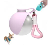 Gourde Chien Portable, 285ML Bouteille d'eau 2 en 1 Pliable avec Gamelle Eau en Silicone pour Petit Chien, Anti-Fuite, Promenade, Voyage et Randonnée
