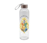 Gourde en verre HP Watercolor World 500 ml